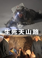 成人久久免费视频